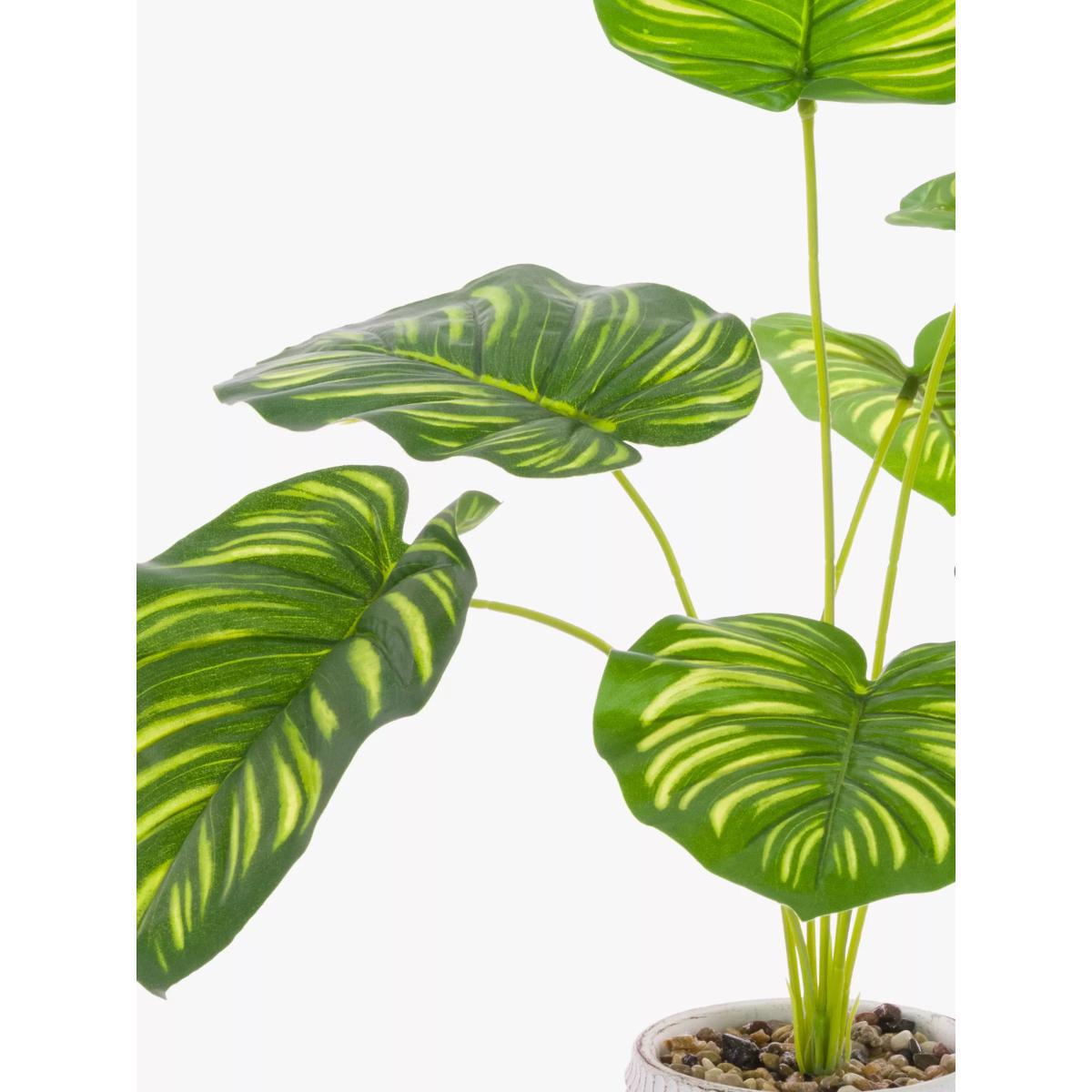 Floralsilk Artificial Calathea Flowers – image 2