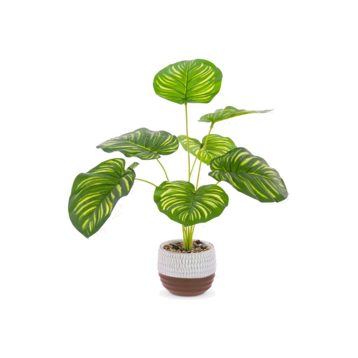 Floralsilk Artificial Calathea Flowers – image 1