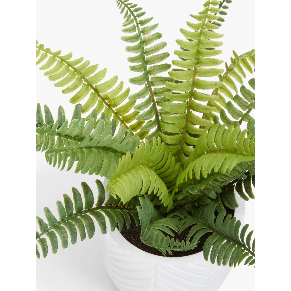 John Lewis Artificial Fern Bush in Cement Pot – image 2