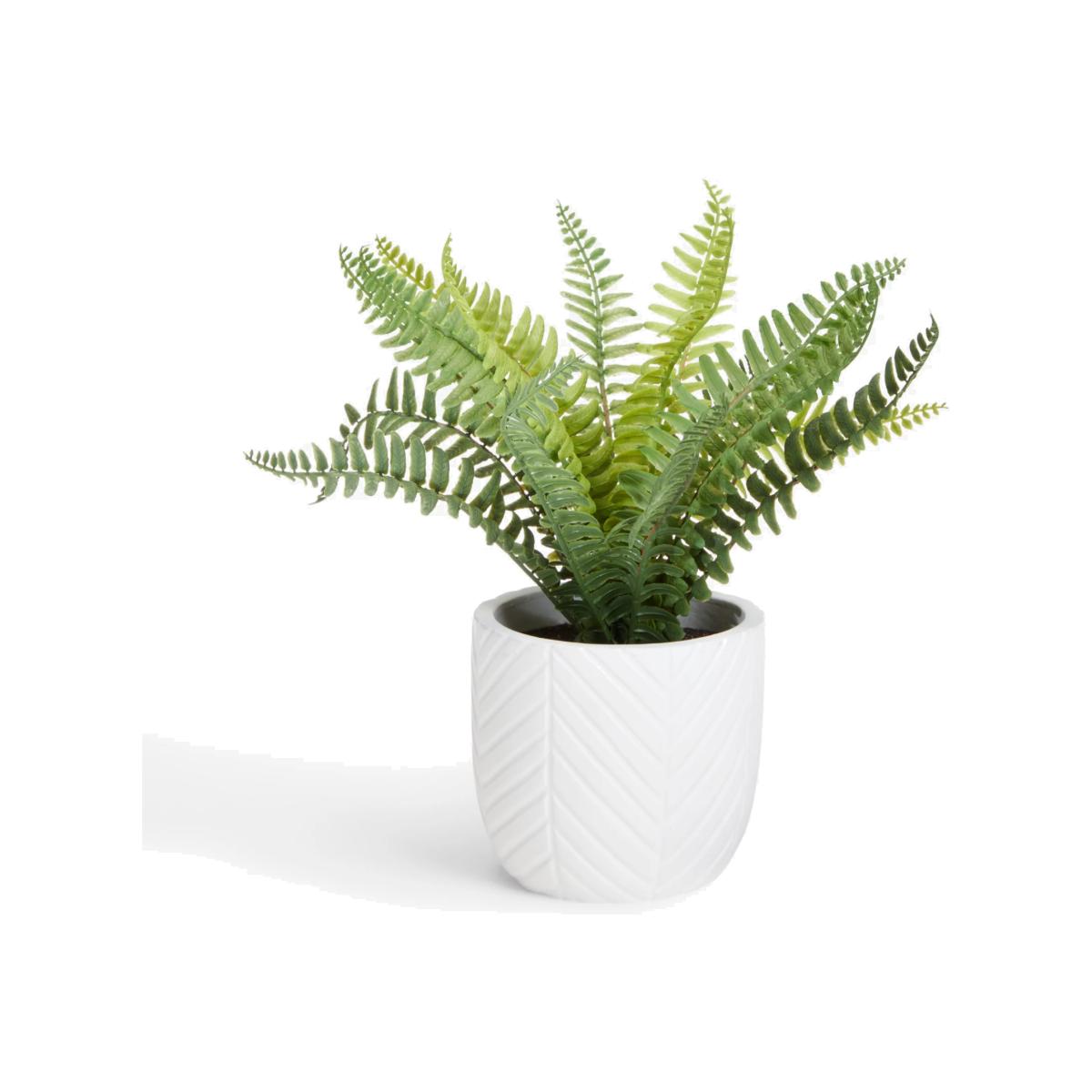 John Lewis Artificial Fern Bush in Cement Pot – image 1