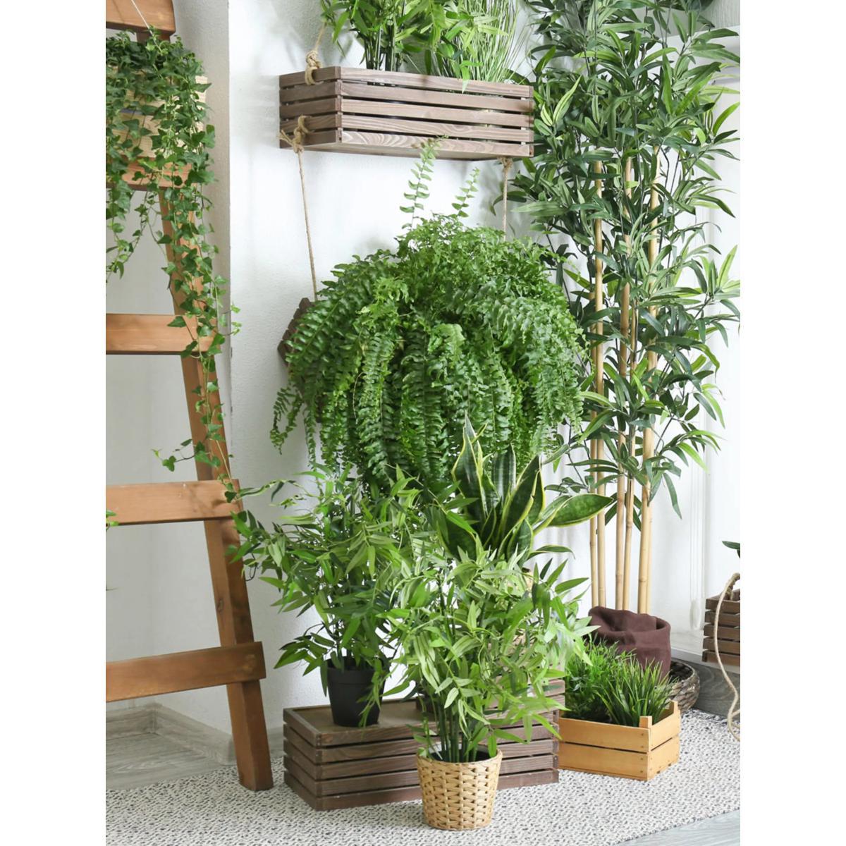 Plantsmith Houseplant Gift Set – image 5