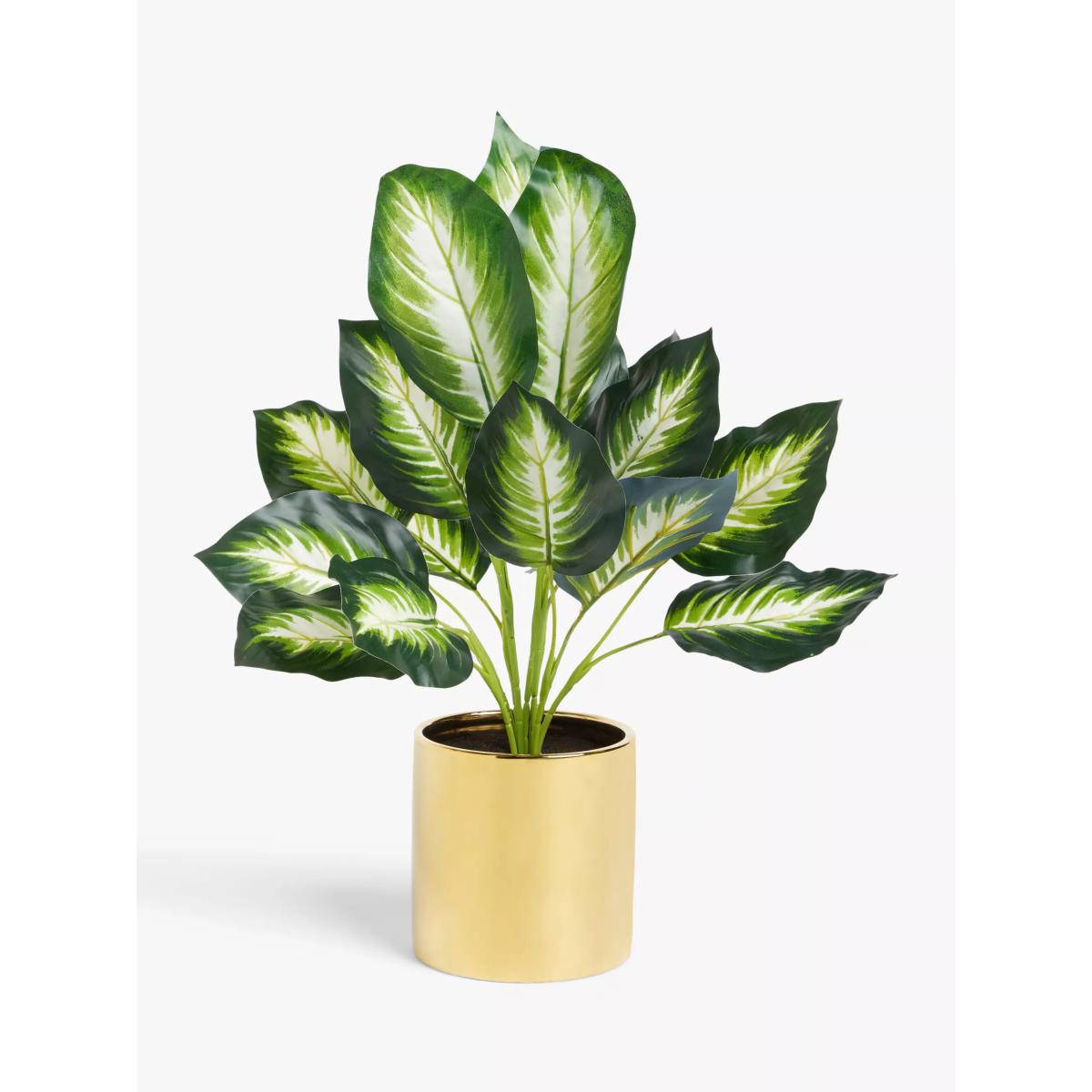 John Lewis & Partners Artificial Evergreen Calathea – image 2