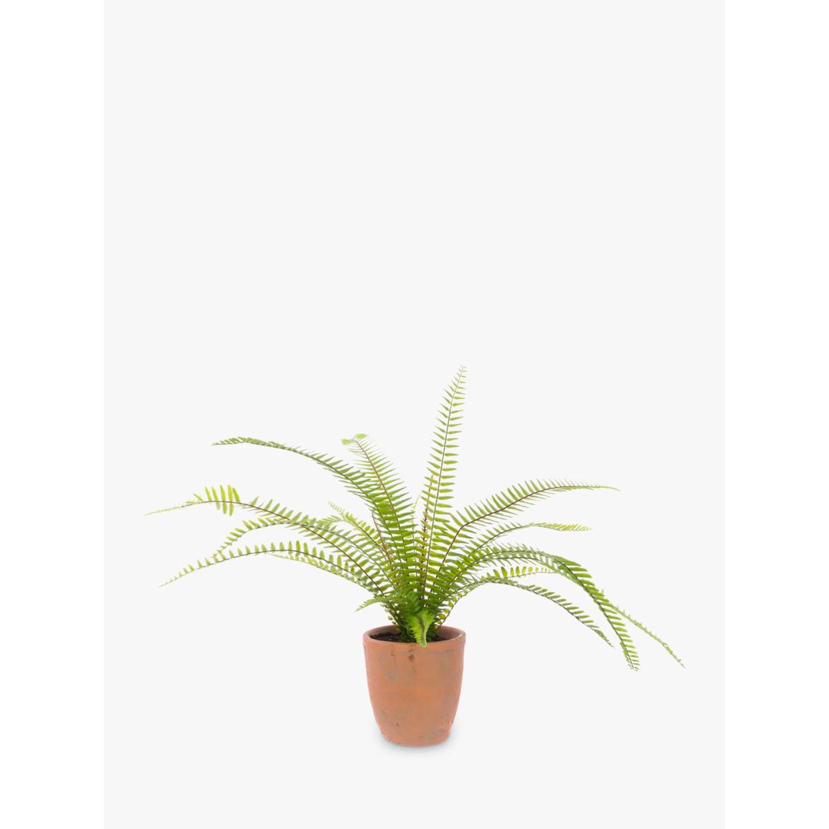 Floralsilk Artificial Boston Fern In Terracotta Pot – image 2