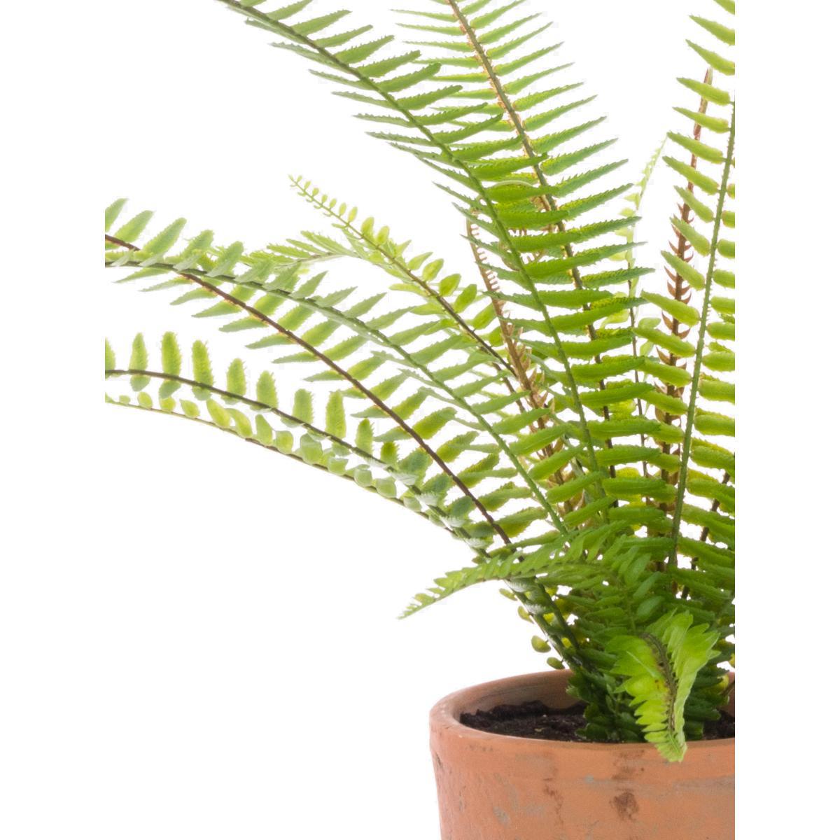 Floralsilk Artificial Boston Fern In Terracotta Pot – image 1