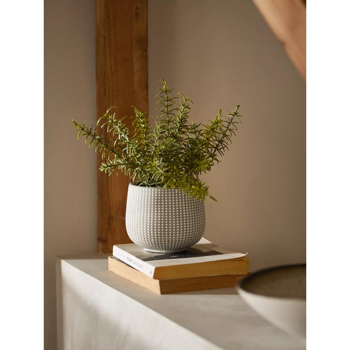 John Lewis Artificial Rosemary Plant & Concrete Pot – image 2