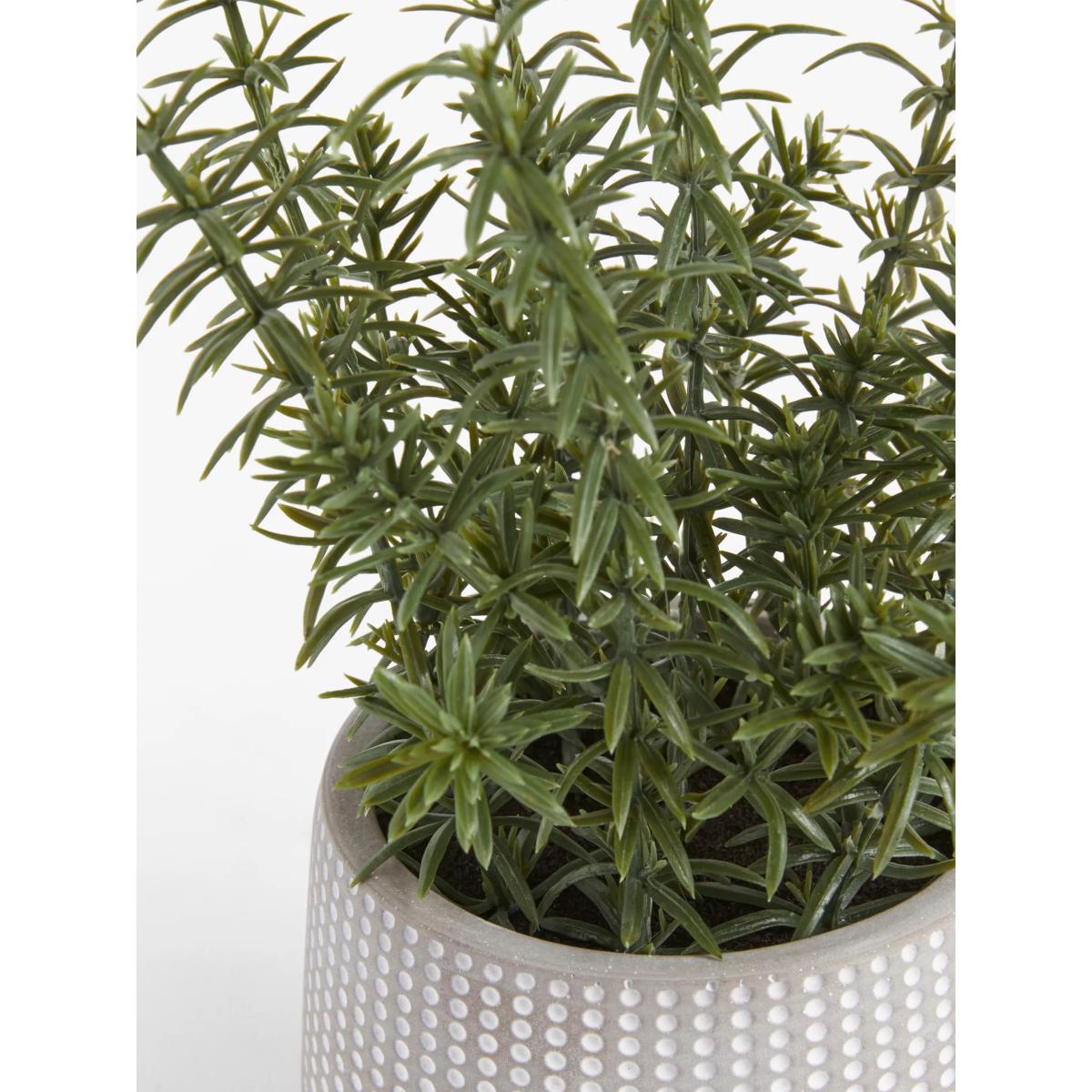 John Lewis Artificial Rosemary Plant & Concrete Pot – image 3