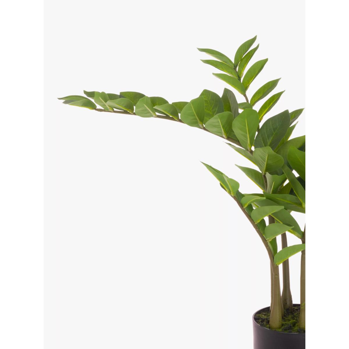 Floralsilk Artificial Zamiifolia Tree, H75cm, Green – image 2
