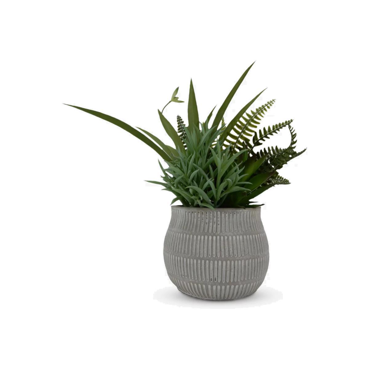 John Lewis & Partners Artificial Mixed Fern & Succulent in Cement Pot