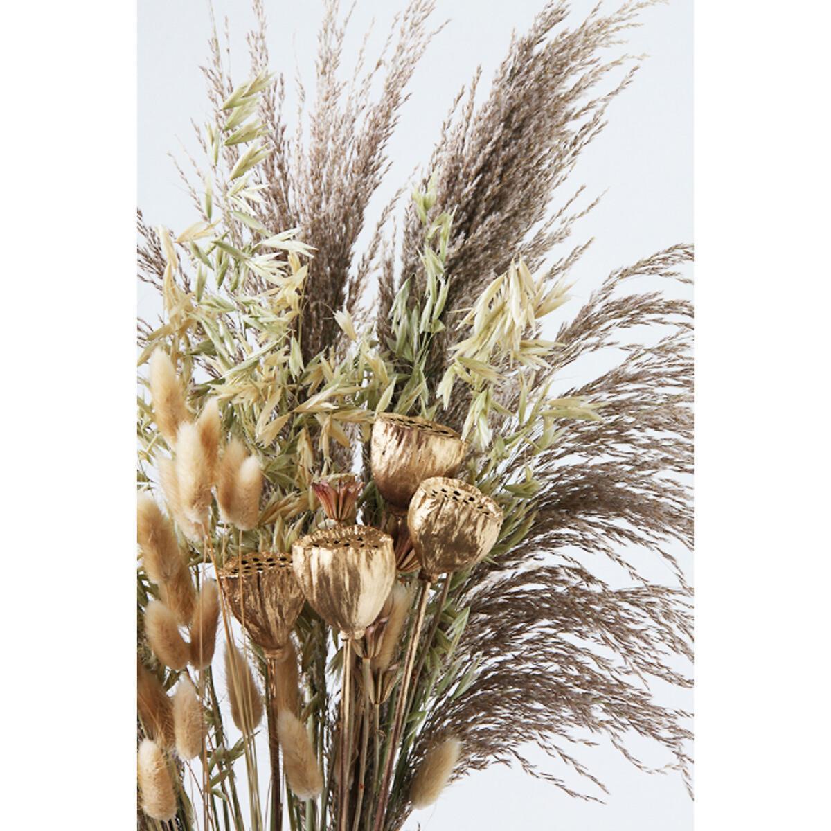 60cm Natural Dried Floral Bouquet - Natural Pampas, Bunny Tail & Gold Lotus Pods – image 2