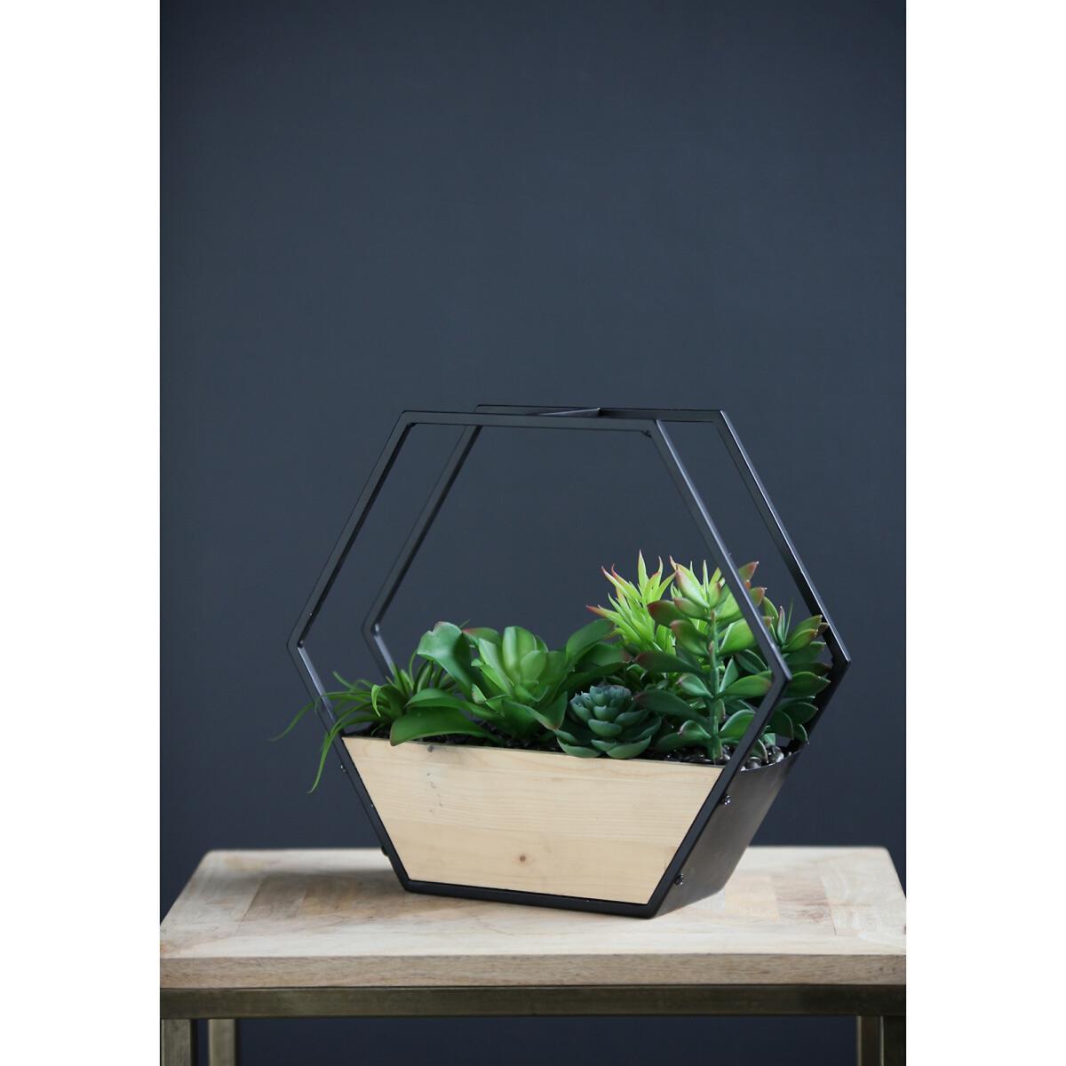 30.5cm Artificial Succulents in Black Hexagon Planter – image 2