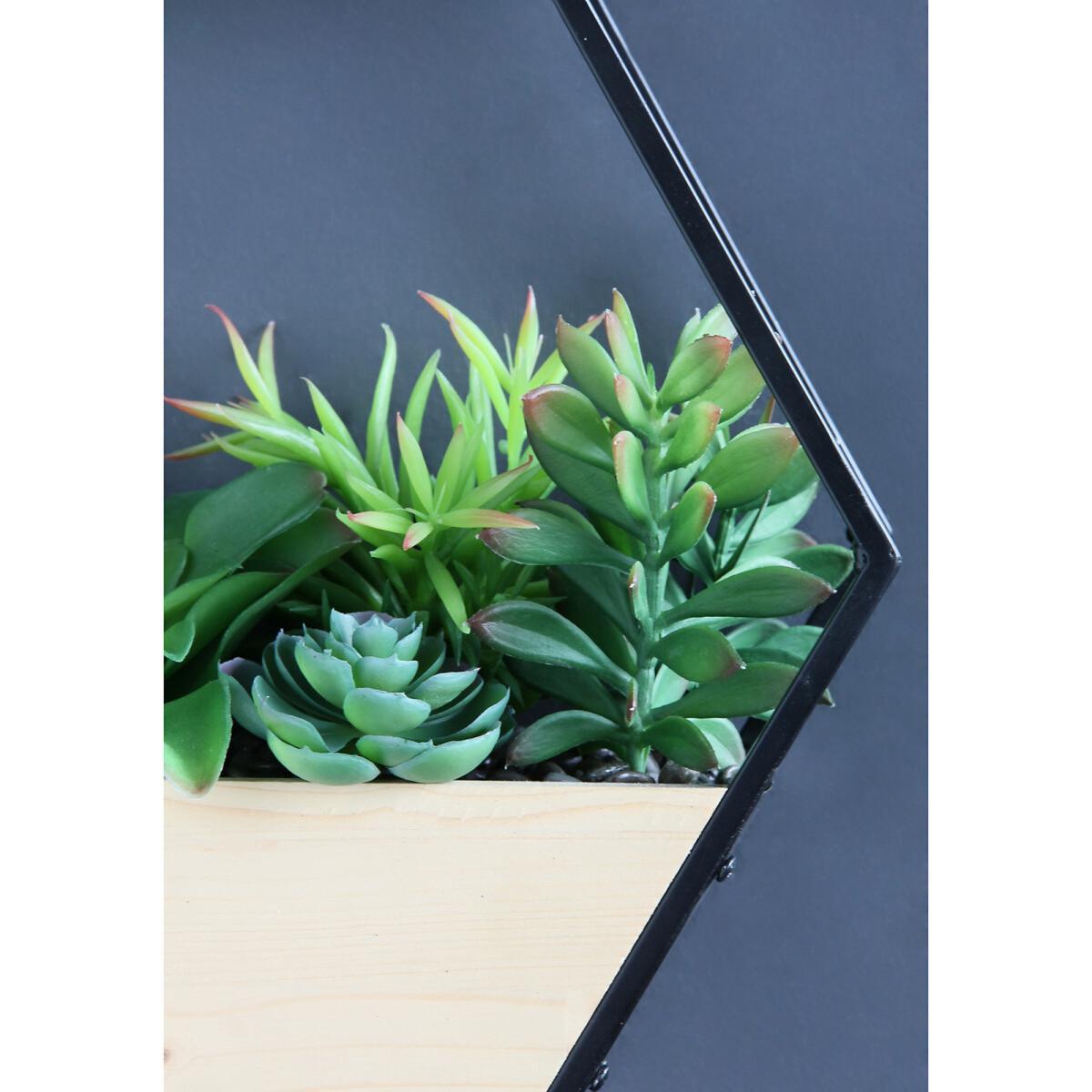 30.5cm Artificial Succulents in Black Hexagon Planter – image 3