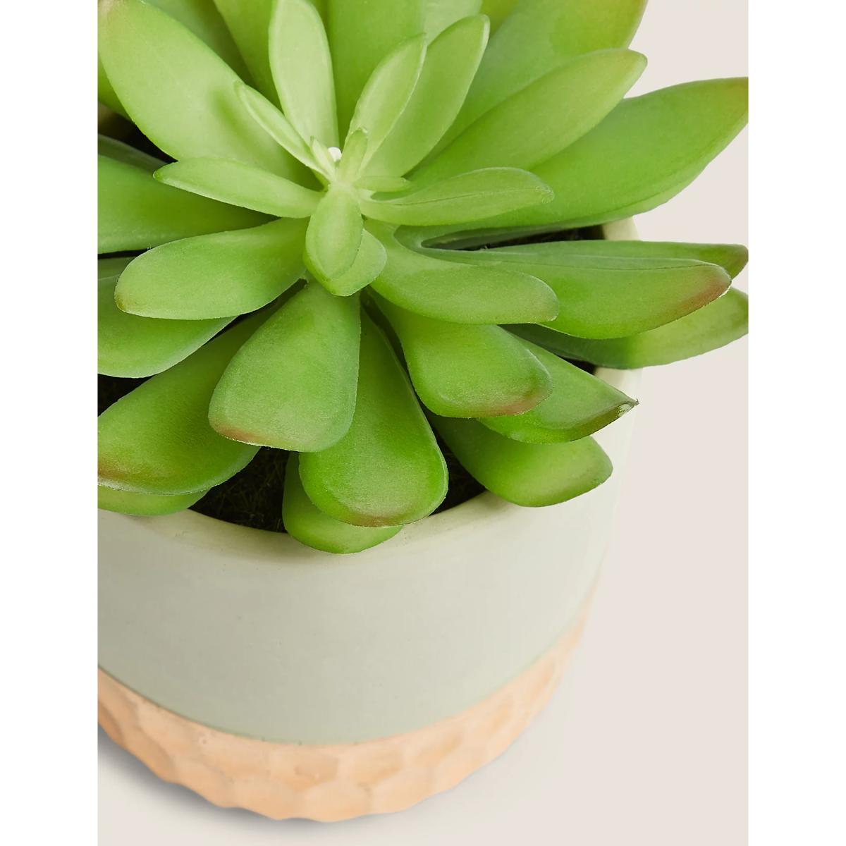 M&S Artificial Succulent in Metallic Base Pot - Green, Green – image 2