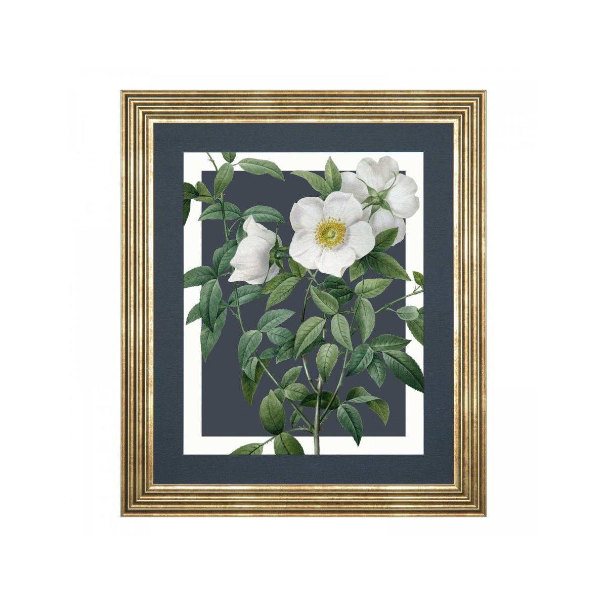 Gallery Home Rosa Nivea Rectangle Framed Canvas Multi – image 2