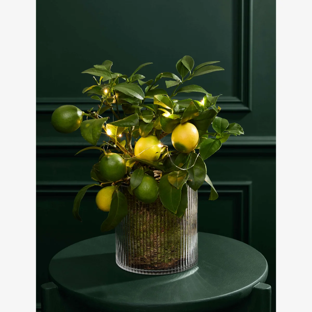 M&S Flower Market Festive Citrus Tree in Mercury Glass Pot with Lights – image 1