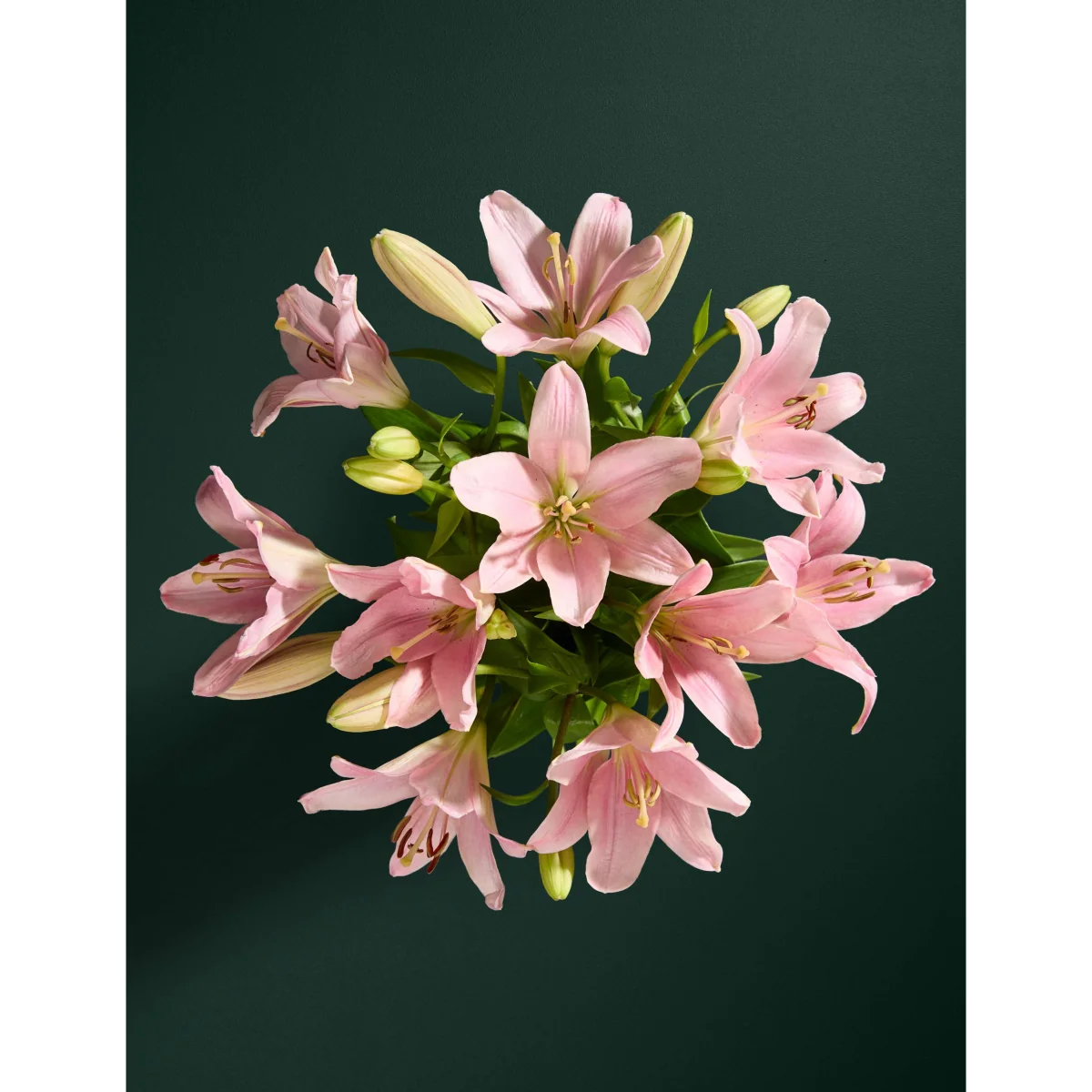 M&S Flower Market Pink Lily Letterbox Flowers – image 2