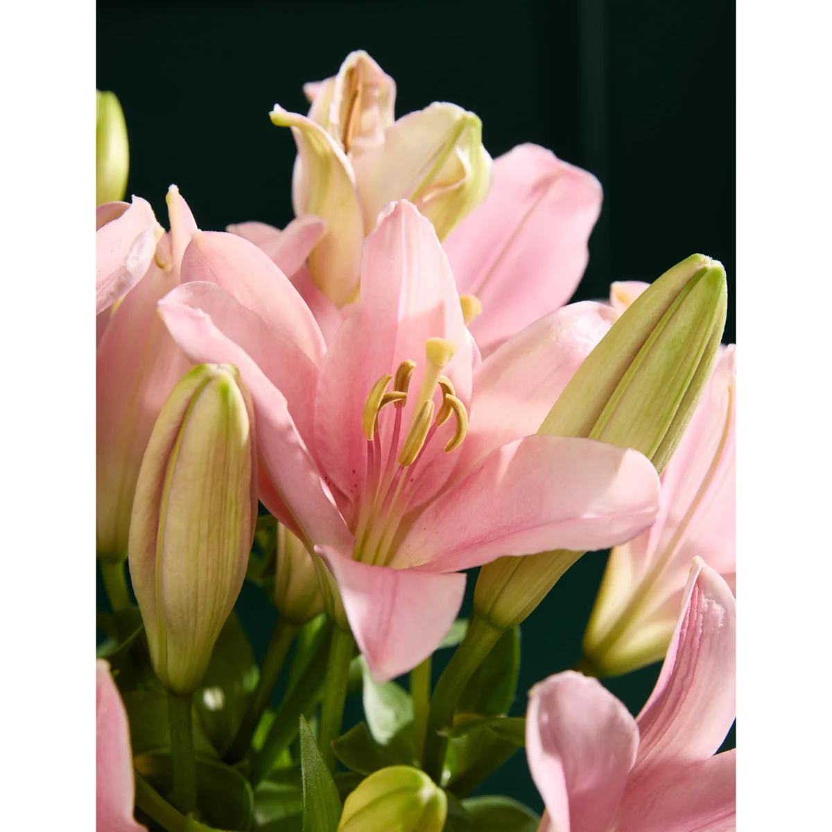 M&S Flower Market Pink Lily Letterbox Flowers – image 3