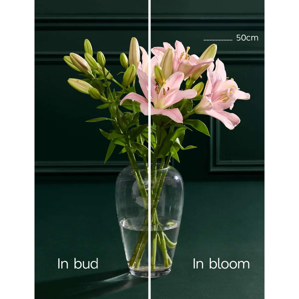 M&S Flower Market Pink Lily Letterbox Flowers – image 5