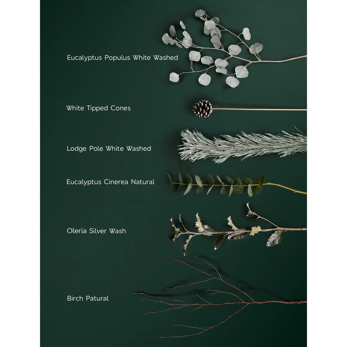 M&S Flower Market Festive Snowy Foliage Abundance Bouquet – image 4