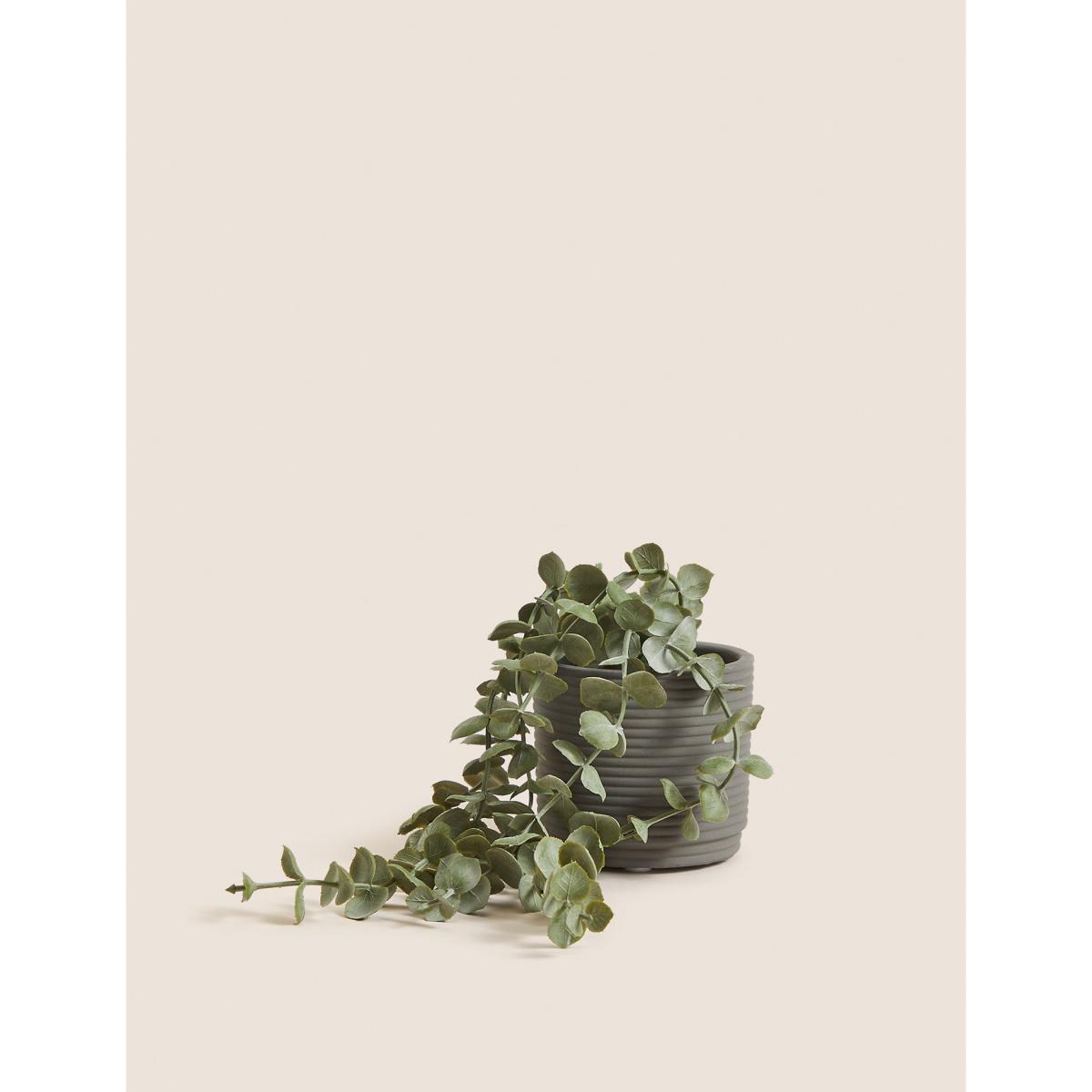 Moss & Sweetpea Artificial String of Hearts in Concrete Pot - Green, Green – image 3