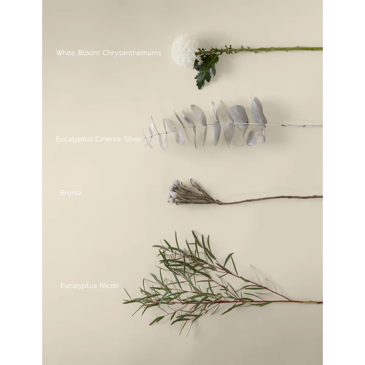 M&S X Kelly Hoppen Festive Chrysanthemum Bouquet – image 4