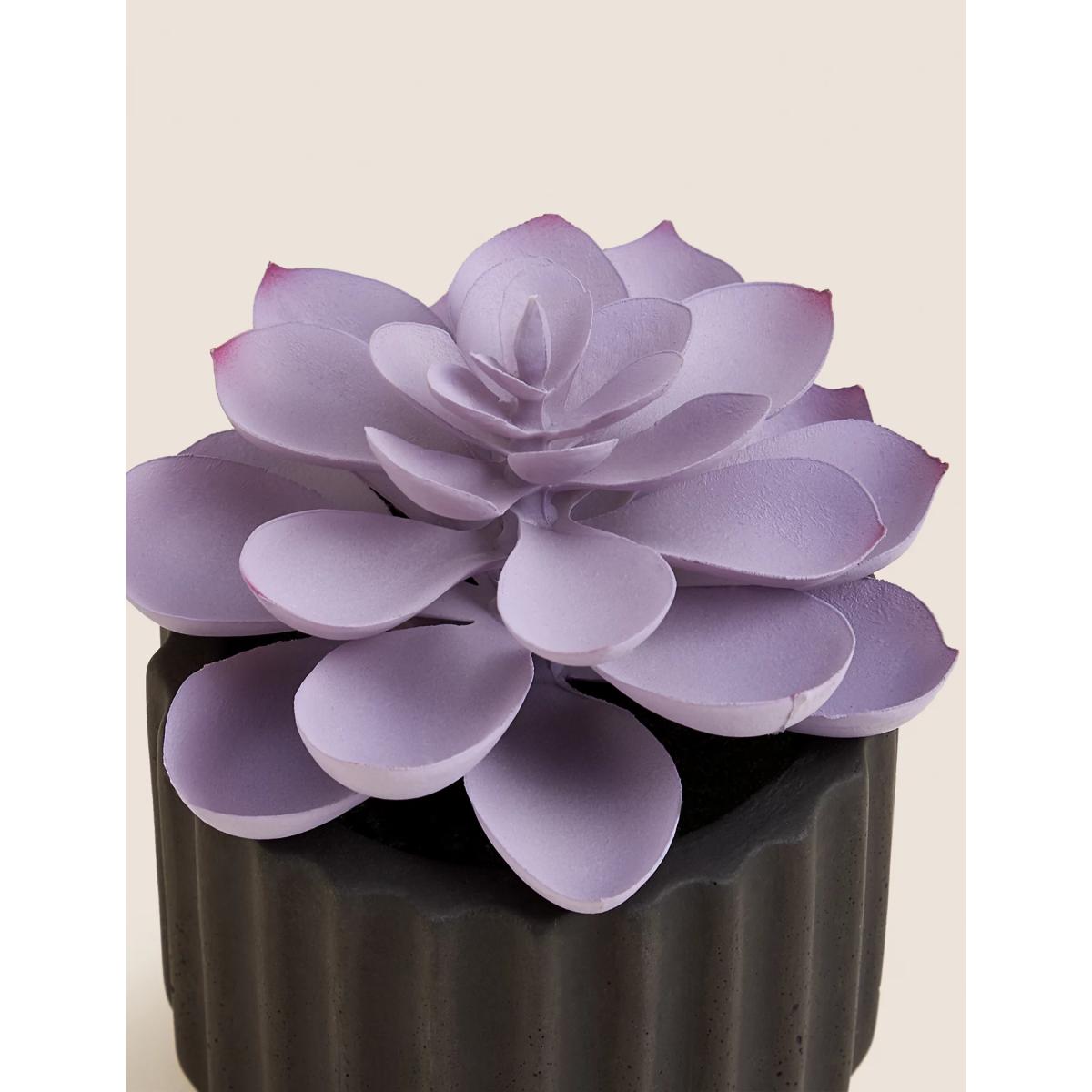 Moss & Sweetpea Artificial Mini Succulent in Concrete Pot - Black, Black – image 2