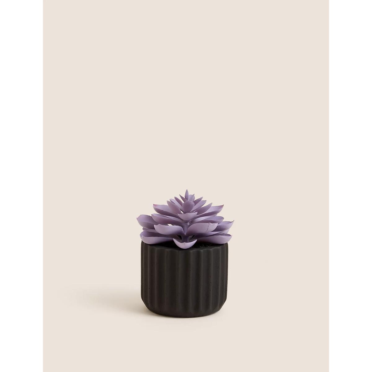 Moss & Sweetpea Artificial Mini Succulent in Concrete Pot - Black, Black – image 3