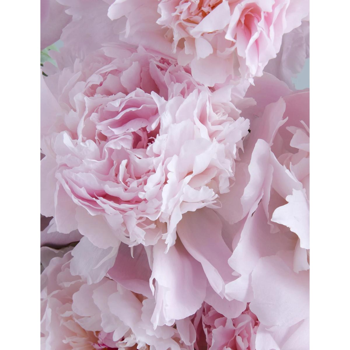 M&S Seasonal Peony Flowers Bouquet – image 5