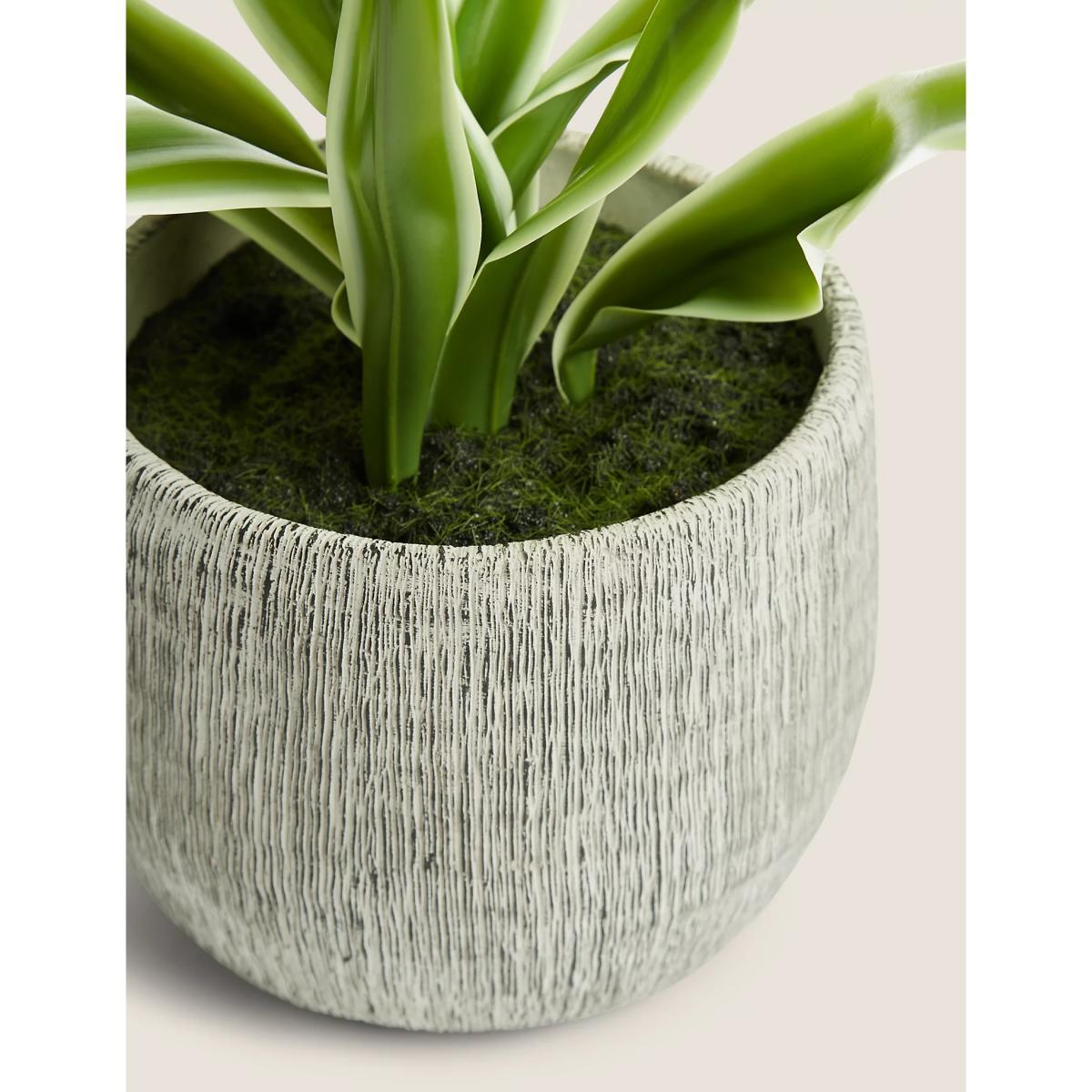 M&S Artificial House Plant in Textured Pot - Green, Green – image 2