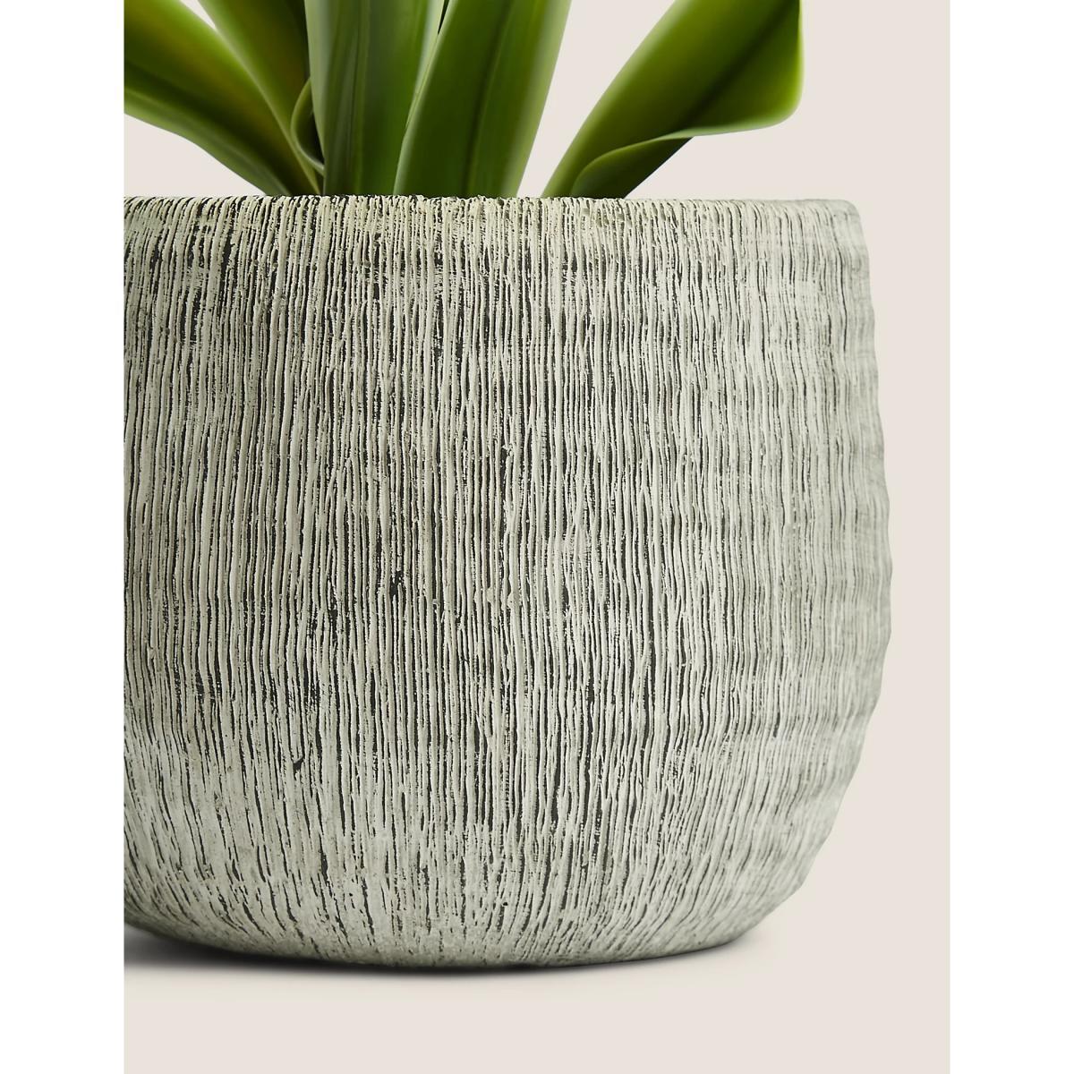 M&S Artificial House Plant in Textured Pot - Green, Green – image 3