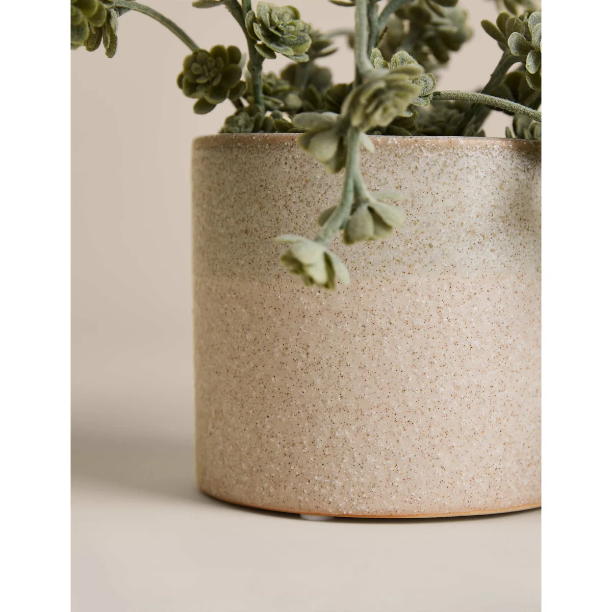 M&S Trailing Succulent in Ceramic Pot Green – image 2
