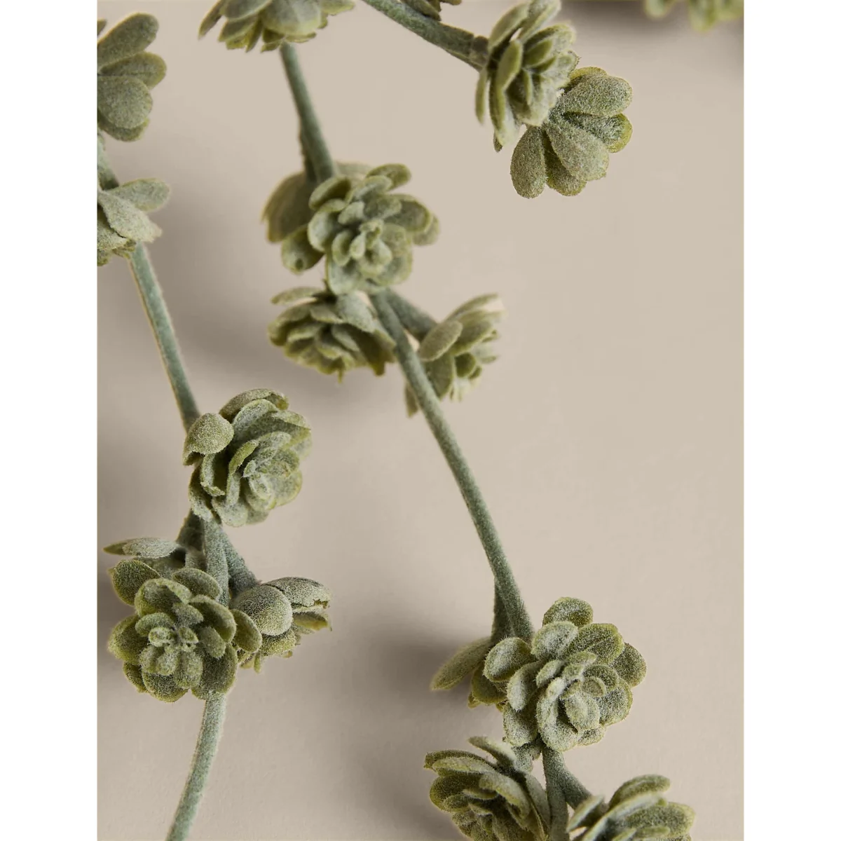 M&S Trailing Succulent in Ceramic Pot Green – image 3