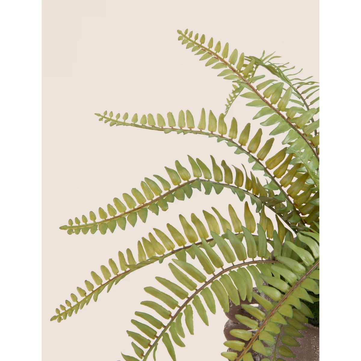 M&S Artificial Fern Plant in Ceramic Pot - Green, Green – image 2