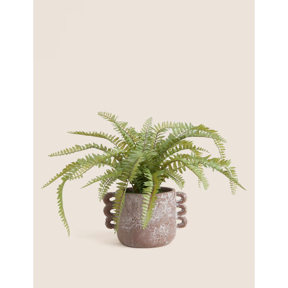 M&S Artificial Fern Plant in Ceramic Pot - Green, Green – image 3