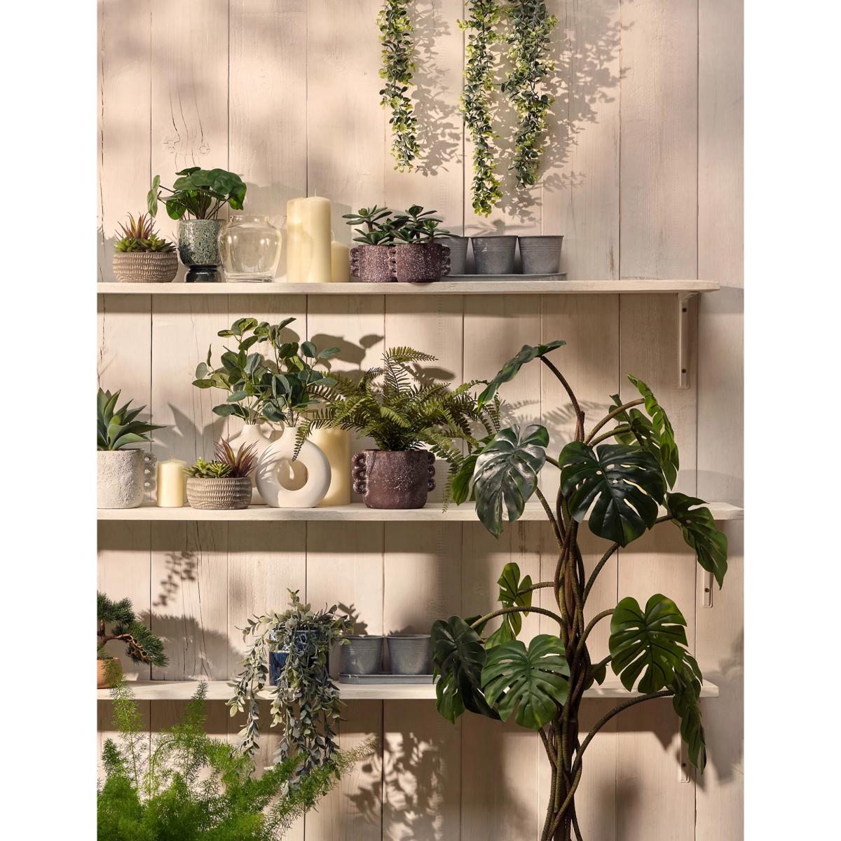 M&S Artificial Fern Plant in Ceramic Pot - Green, Green – image 4