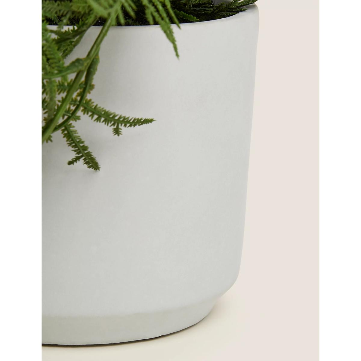M&S Artificial Trailing Asparagus Fern In Pot - Green, Green – image 3