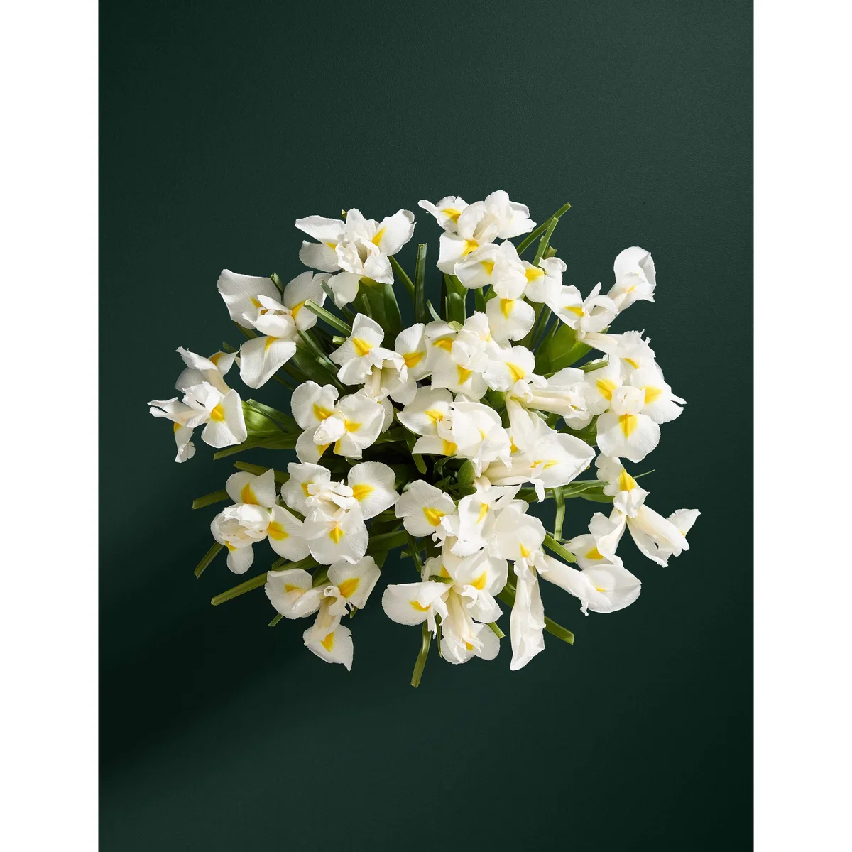 M&S Flower Market White Iris Letterbox Flowers – image 2