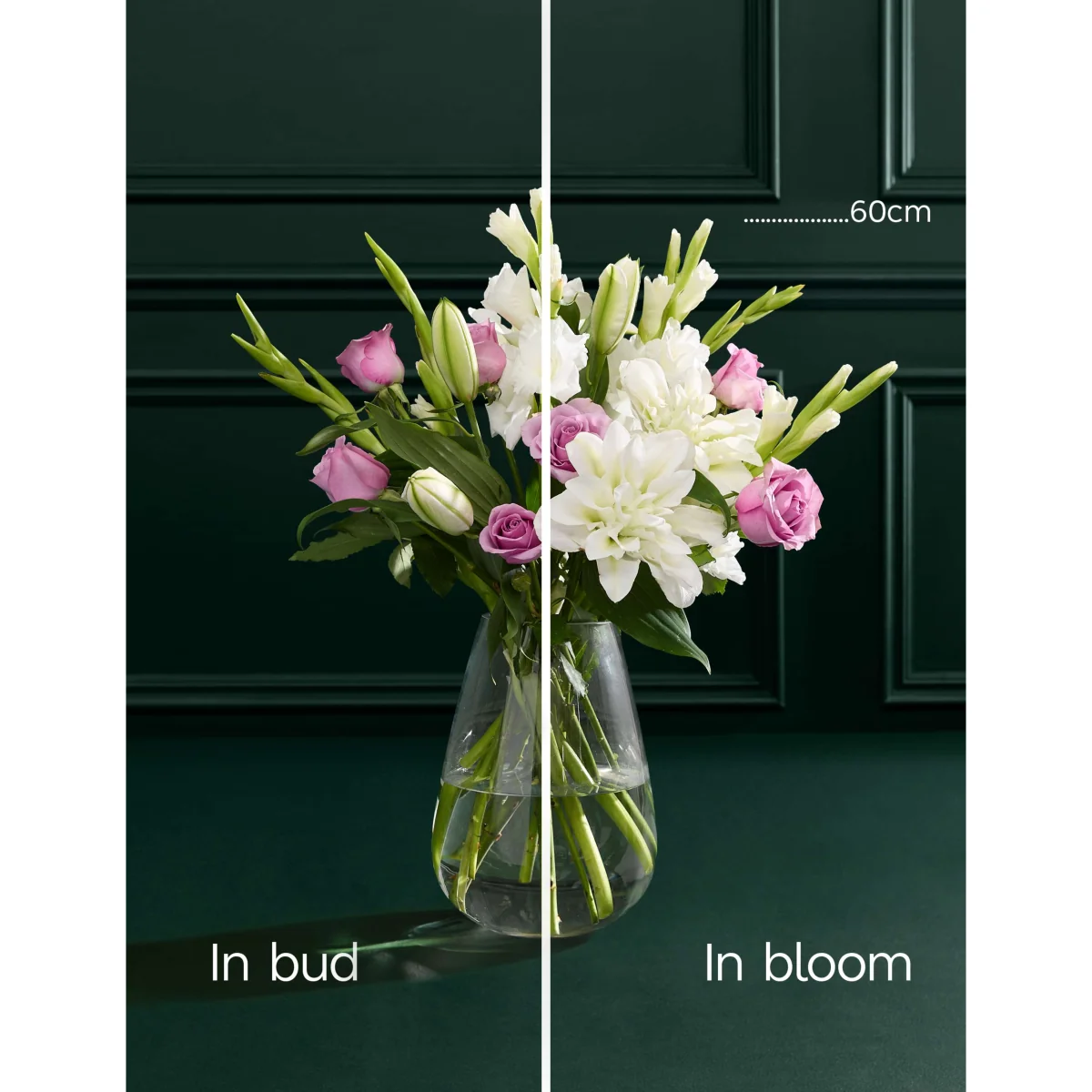 M&S Flower Market Gladioli Mixed Bouquet – image 4