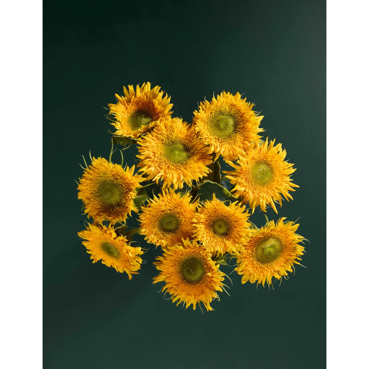 M&S Flower Market Teddy Sunflower Bouquet – image 2