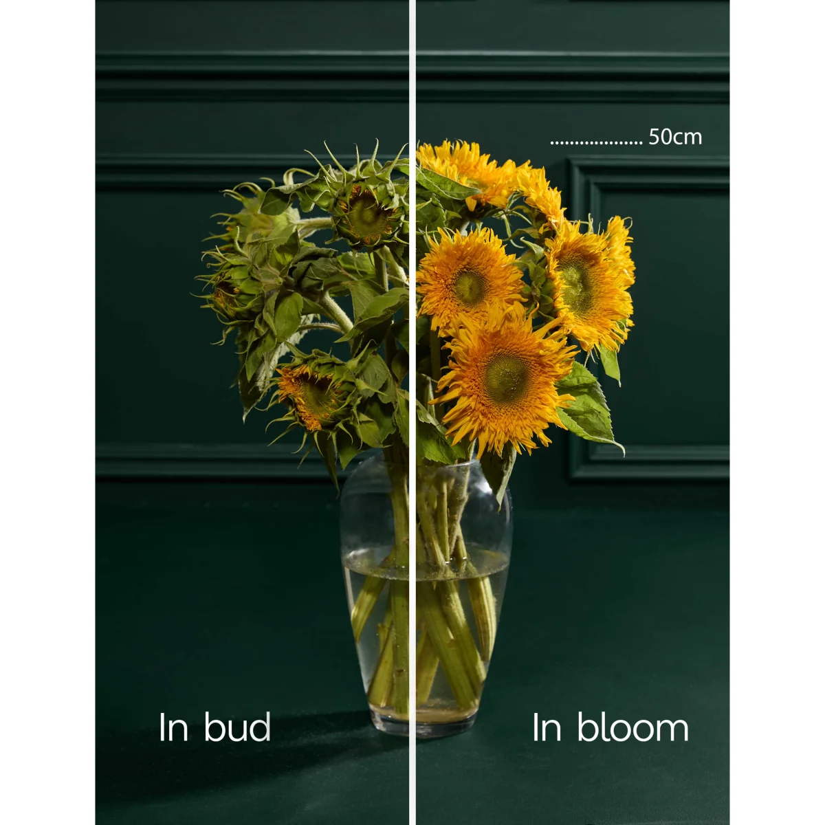 M&S Flower Market Teddy Sunflower Bouquet – image 4
