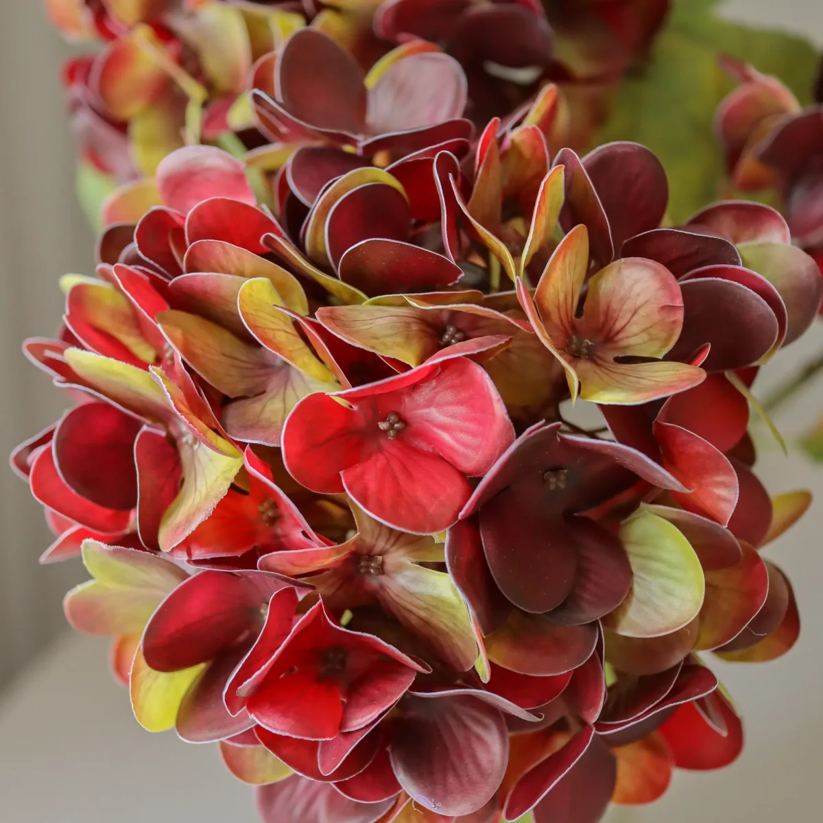 Botané Hydrangea artificial flower Deep burgundy 60 cm 1 pc – image 3