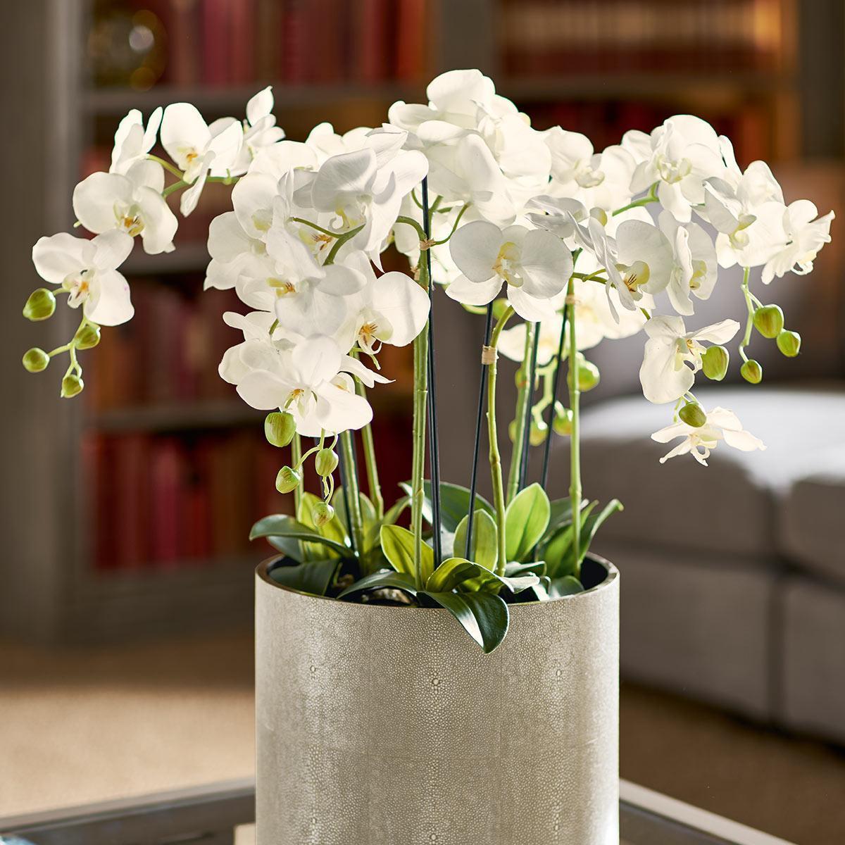 OKA, Faux Planted Phalaenopsis Orchid, Small - White, Artificial Plants, Fabric/Plastic – image 2