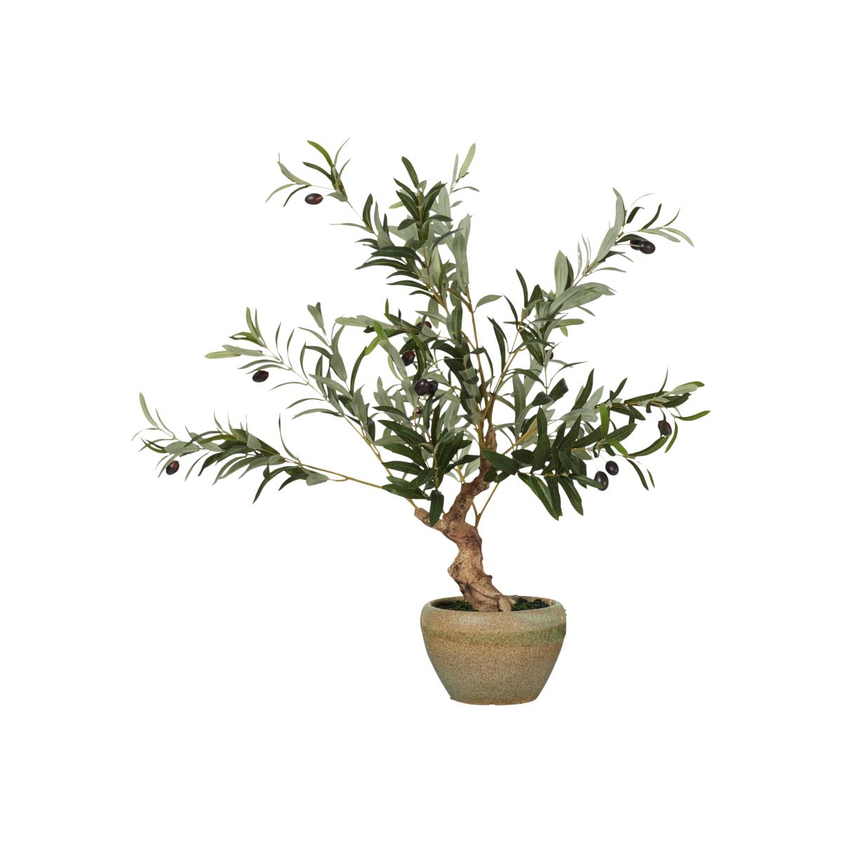 Faux Miniature Olive Tree - Black – image 1