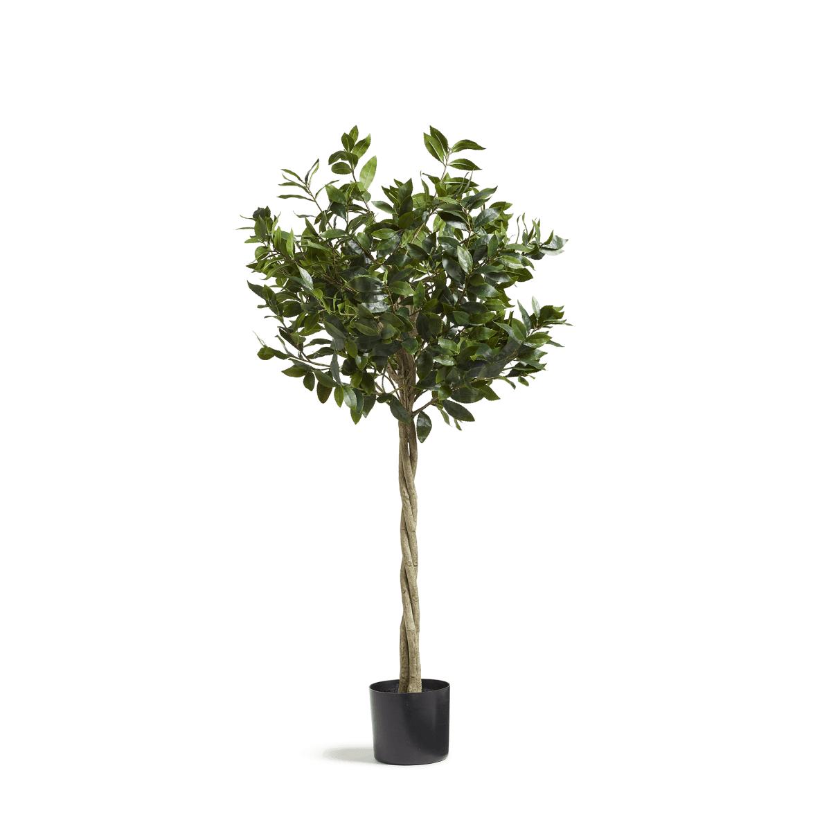 Medium Faux Bay Tree - Green – image 2