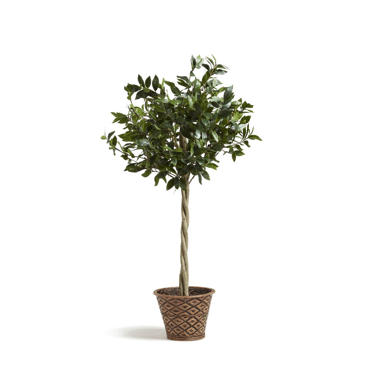 Medium Faux Bay Tree - Green – image 3