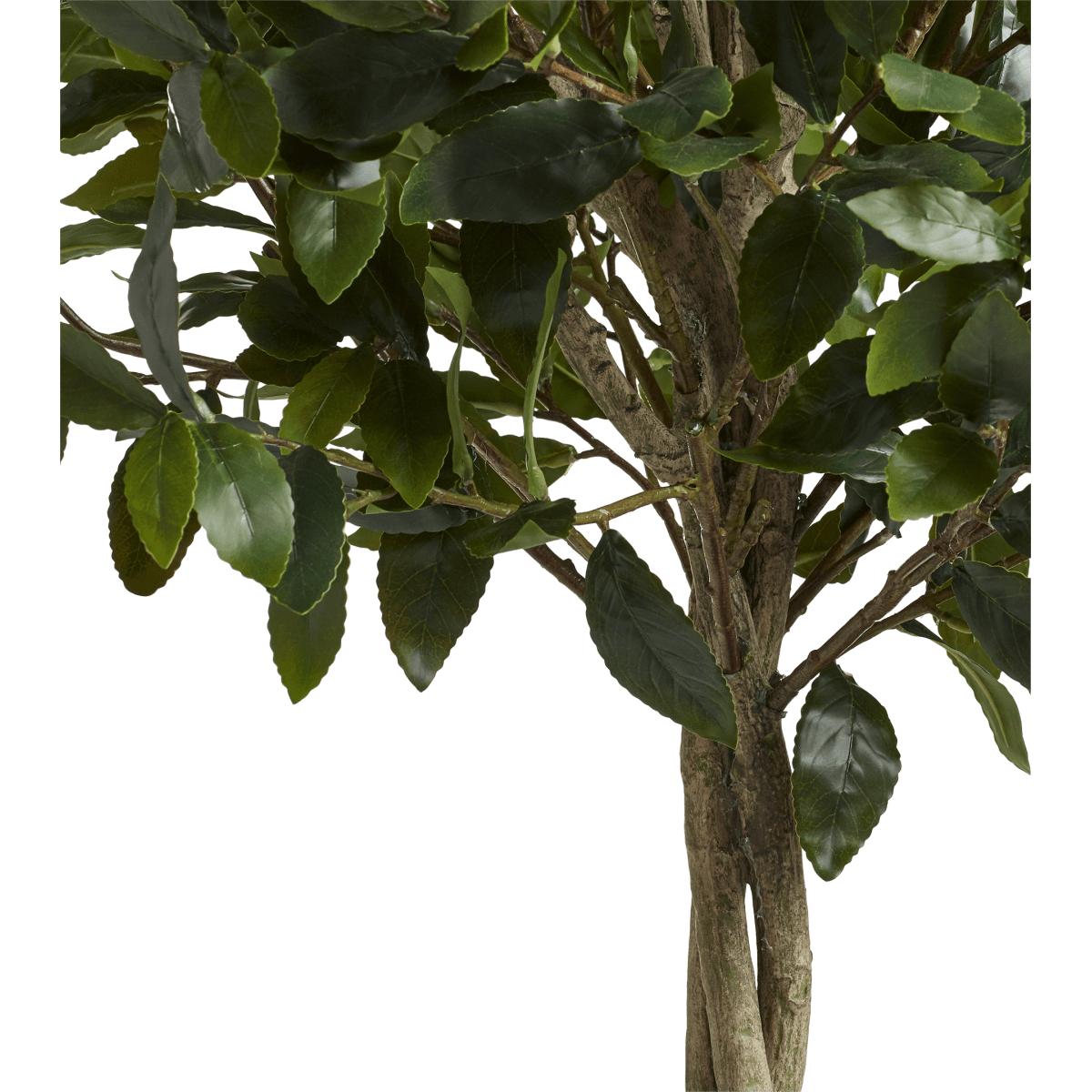 Medium Faux Bay Tree - Green – image 4