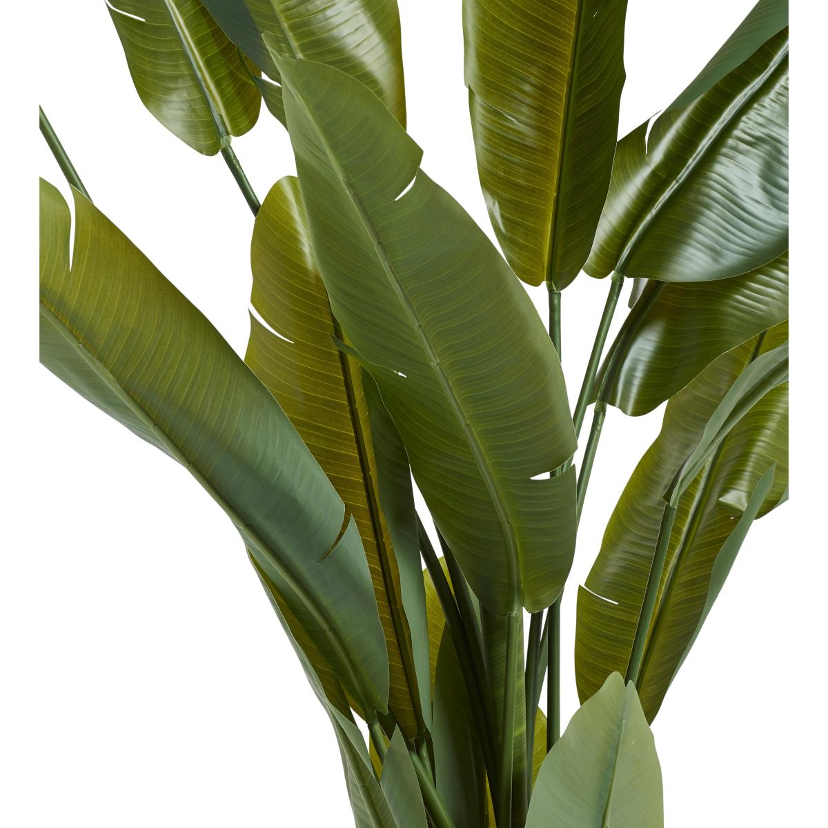 OKA, Faux Potted Bird of Paradise - Green, Faux Plant – image 2