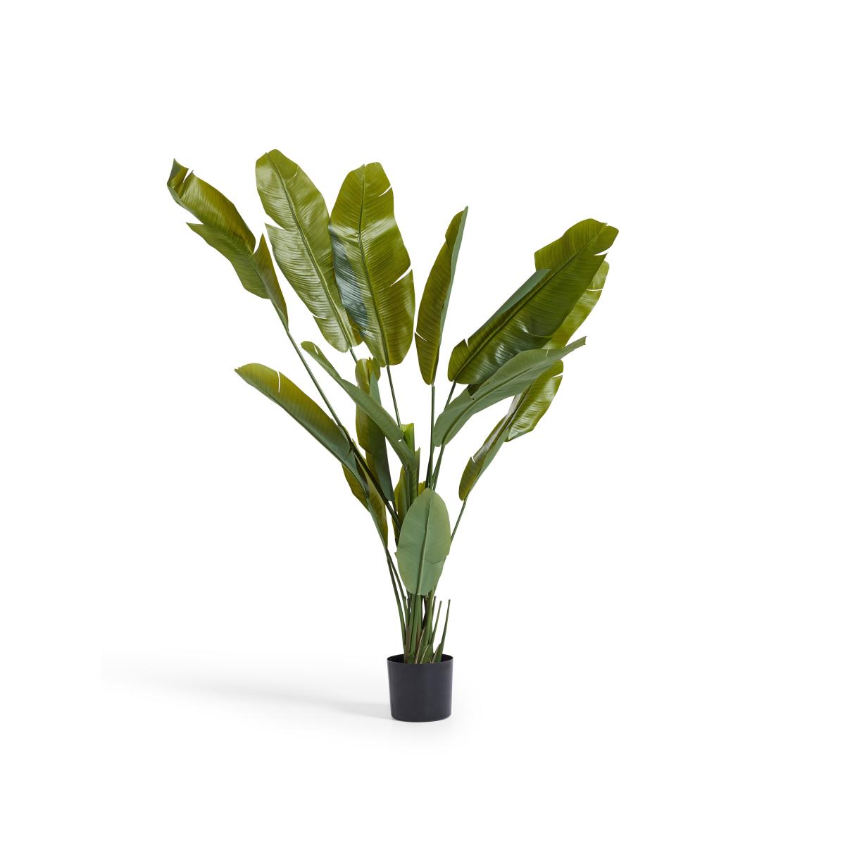 OKA, Faux Potted Bird of Paradise - Green, Faux Plant – image 3