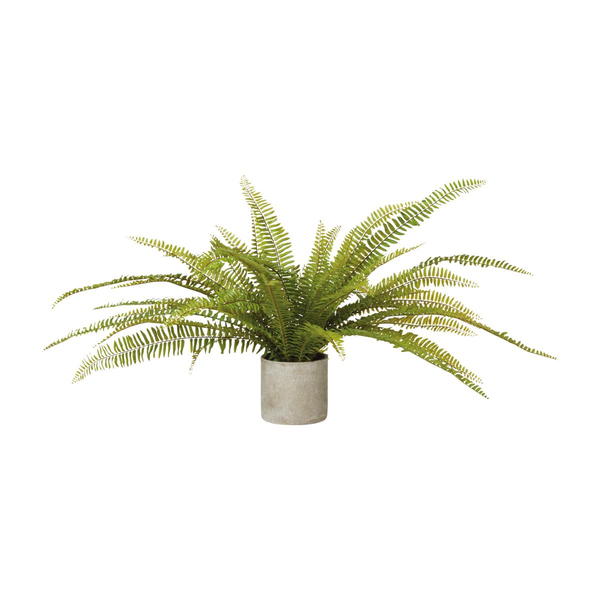 Faux Potted Fern Plant - Green – image 1