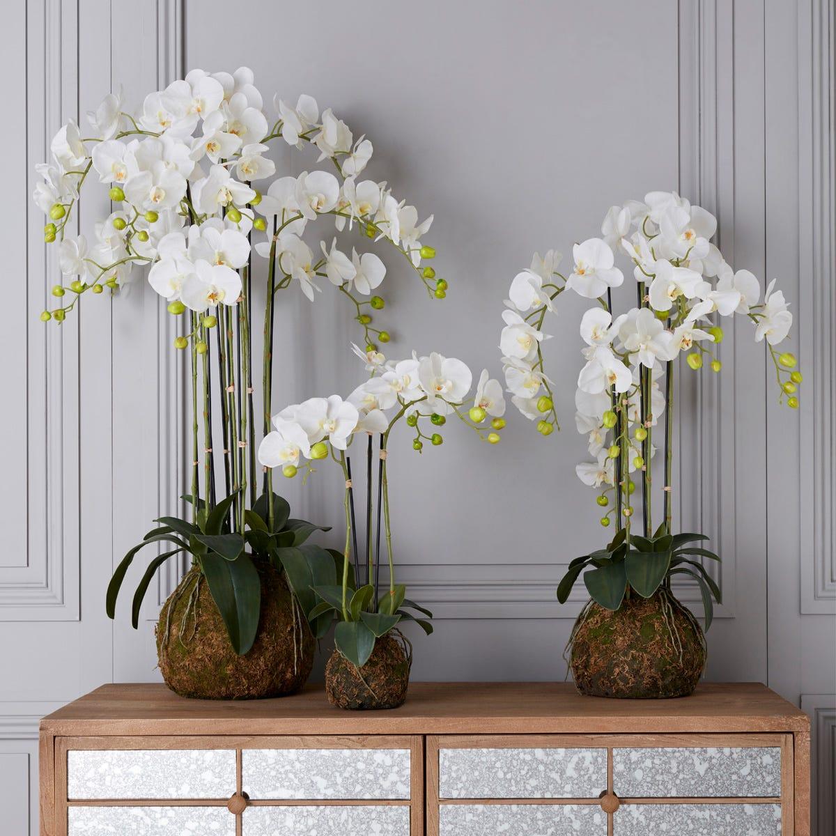 Faux Planted Phalaenopsis Orchid, Small - White – image 5