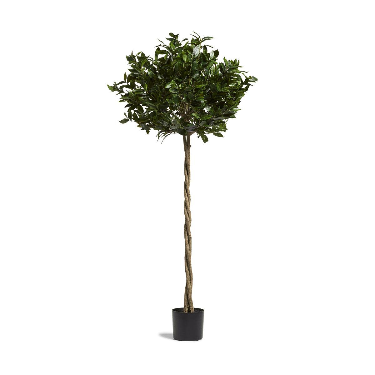 OKA, Large Faux Bay Tree - Green, Potted Trees, Iron/Plastic – image 2